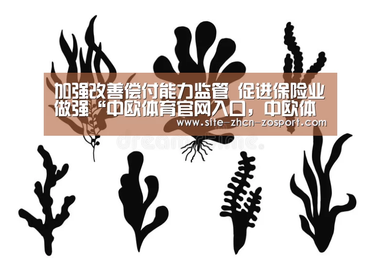 加强改善偿付能力监管 促进保险业做强“中欧体育官网入口，中欧体育官方下载，中欧体