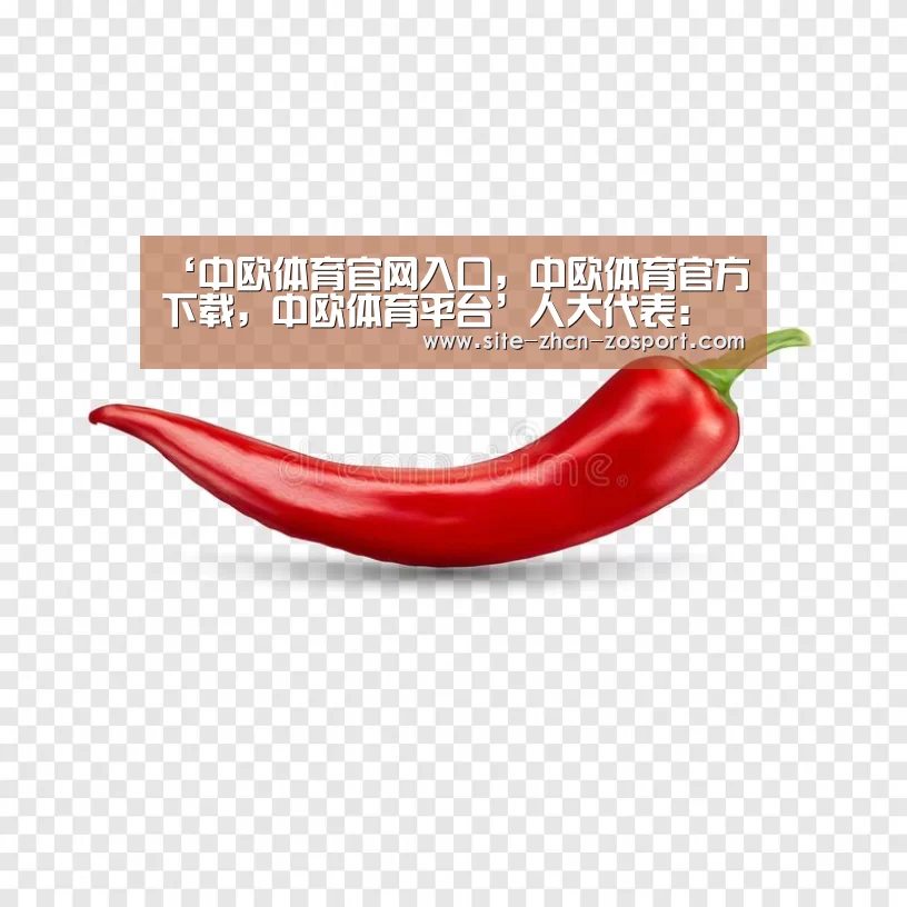 ‘中欧体育官网入口，中欧体育官方下载，中欧体育平台’人大代表：应将家庭医生服务纳